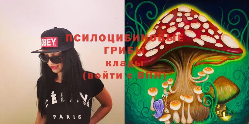 цена   мега   Галлюциногенные грибы MAGIC MUSHROOMS  Бирюсинск 